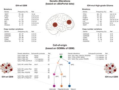 Genetic Architectures and Cell-of-Origin in Glioblastoma